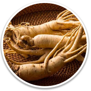 Ginseng